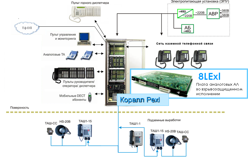 Коралл PExI